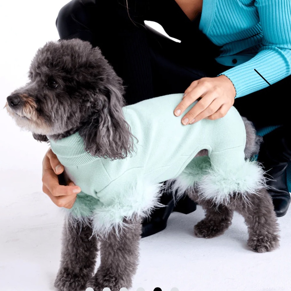 Maxbone | Dog Onesie | Size M